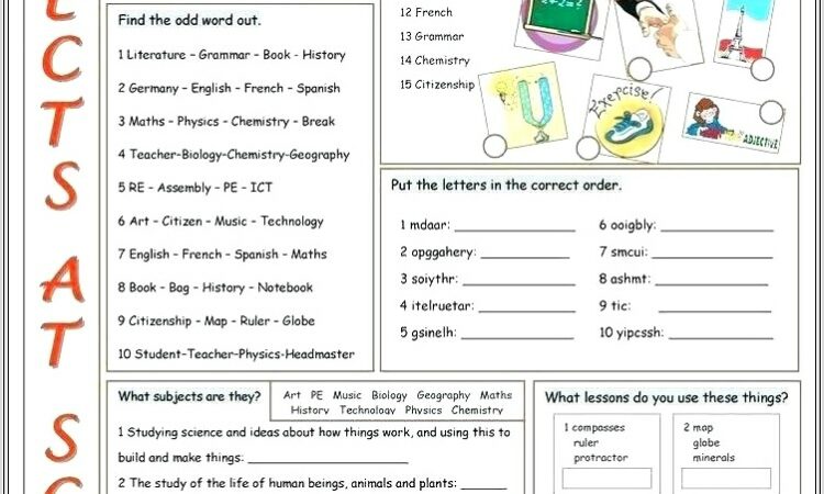 Food Web Vocabulary Worksheet