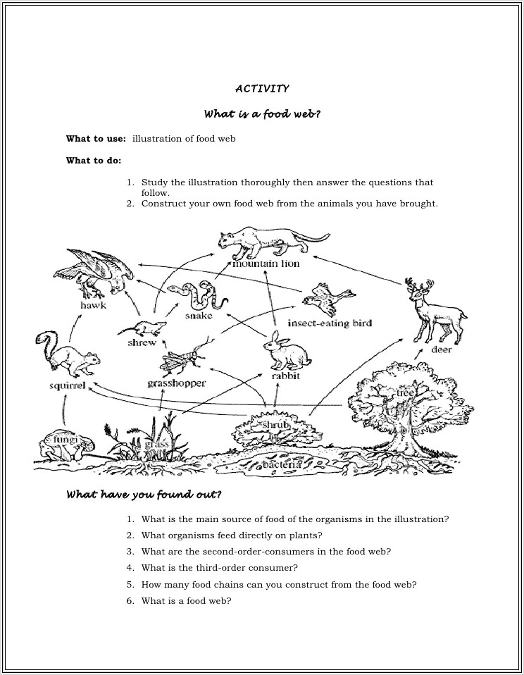 Food Web Worksheet 6th Grade