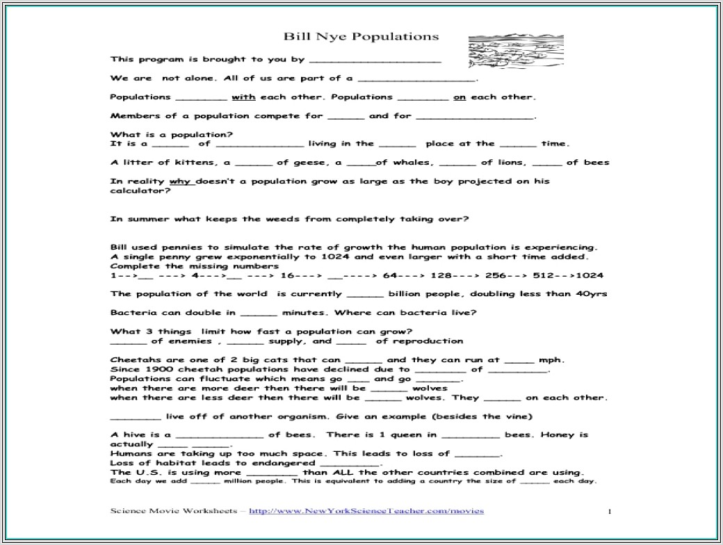 Food Web Worksheet Bill Nye