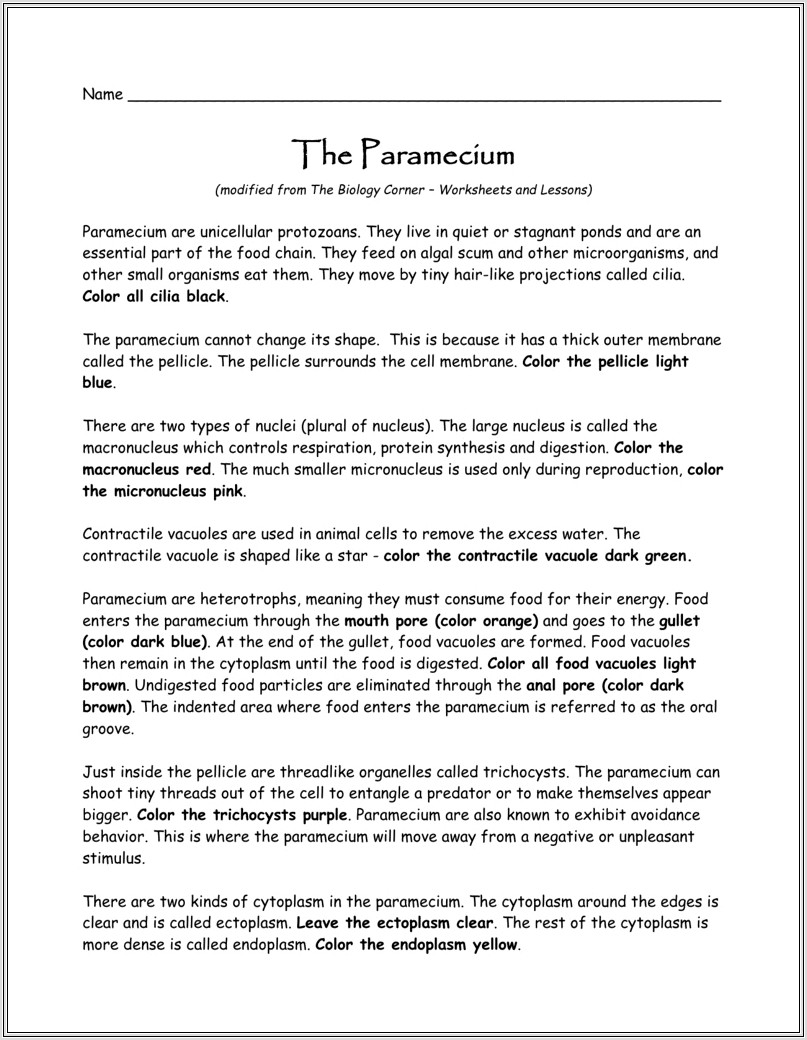 Food Web Worksheet Biology Corner