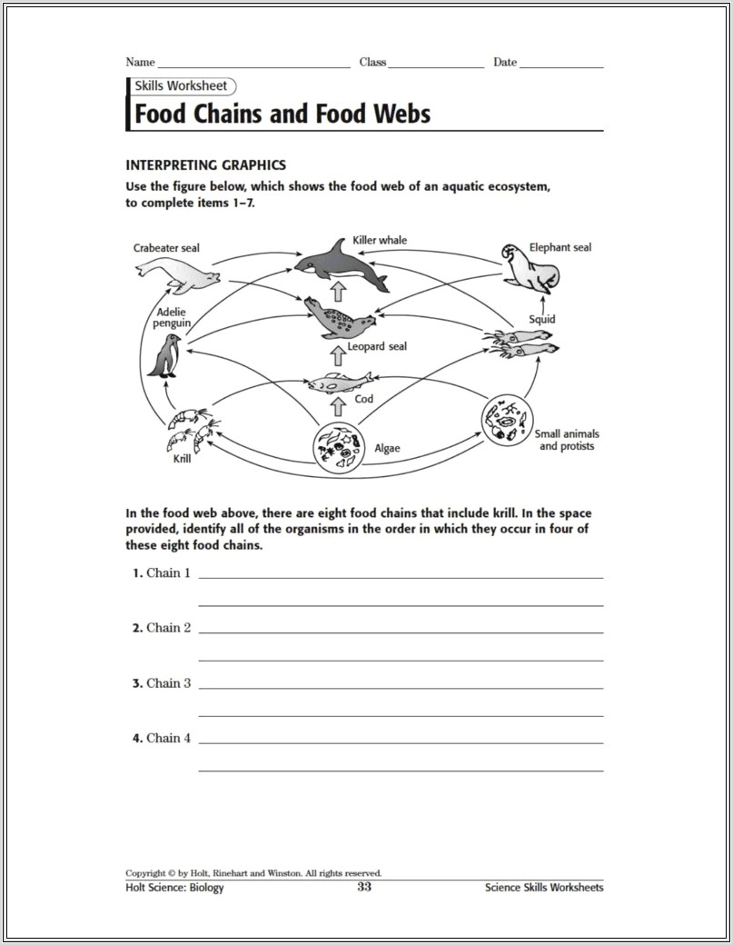 Food Web Worksheet Year 3