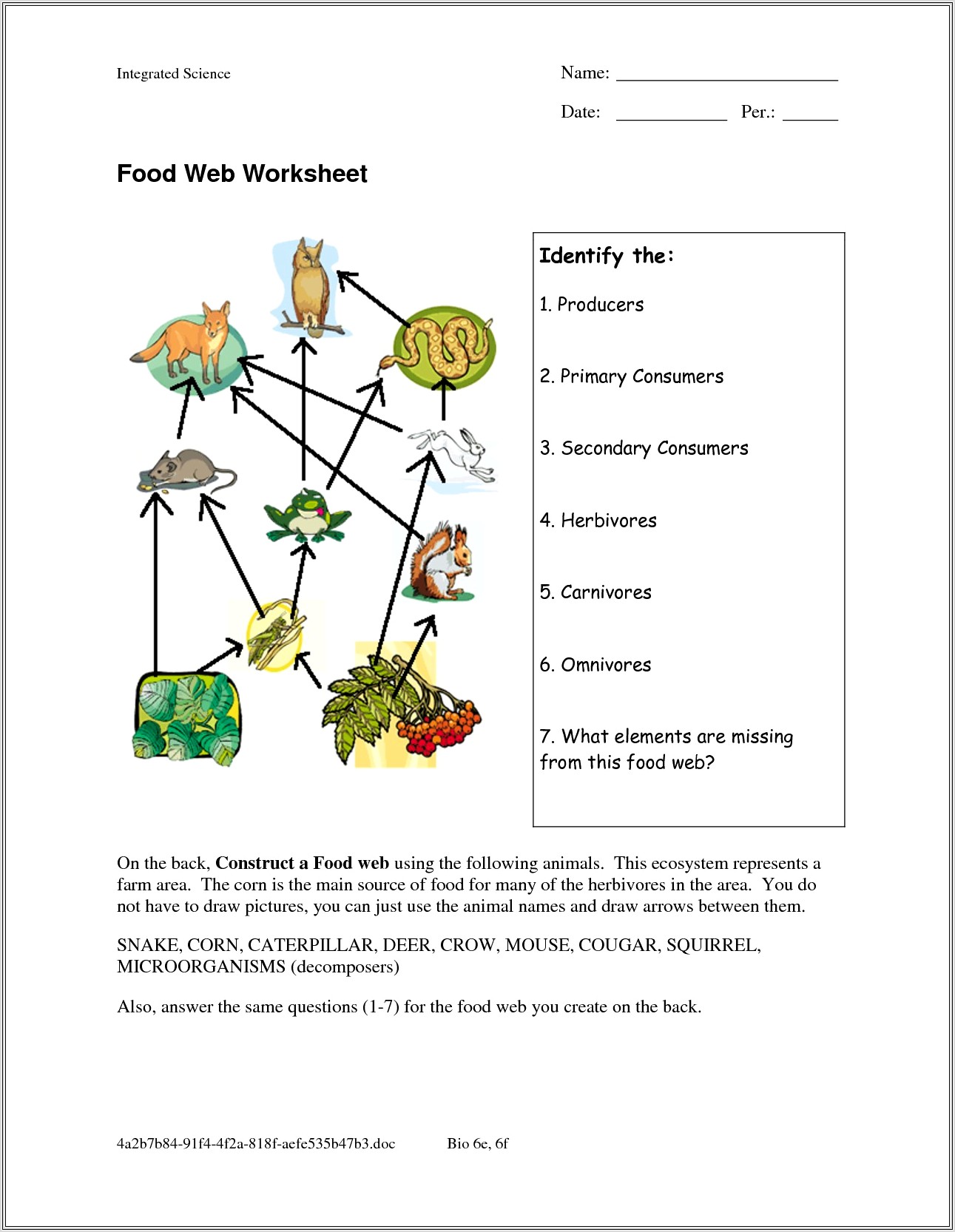Food Webs Worksheet Middle Years
