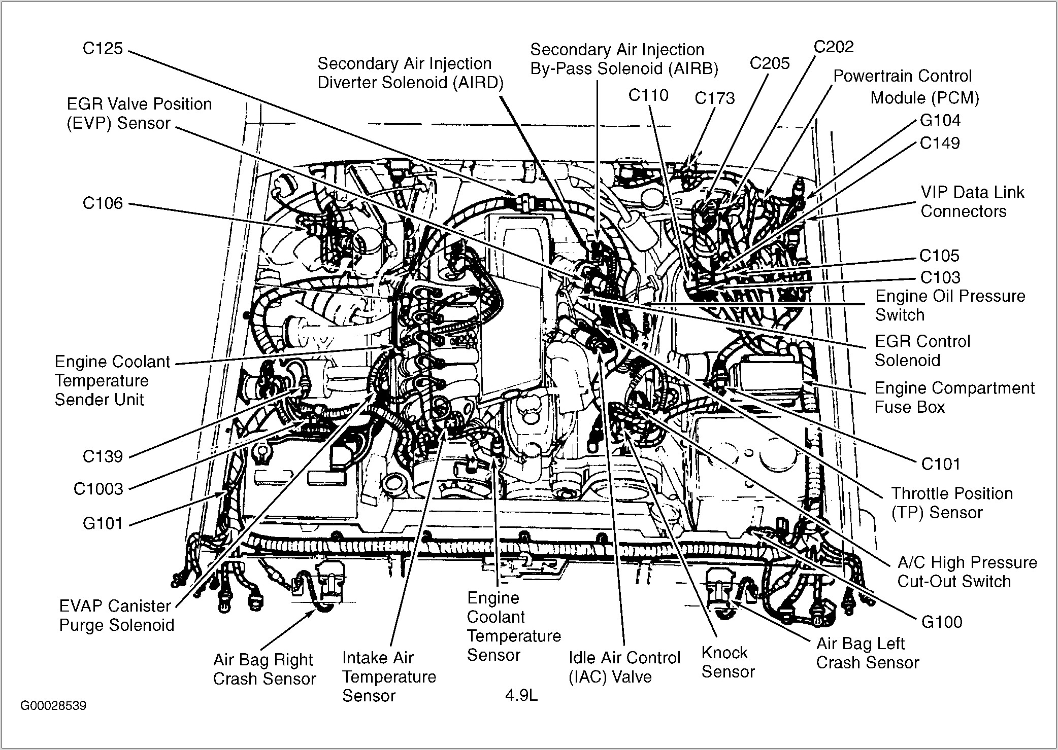 Ford 54 Timing Chain Diagram