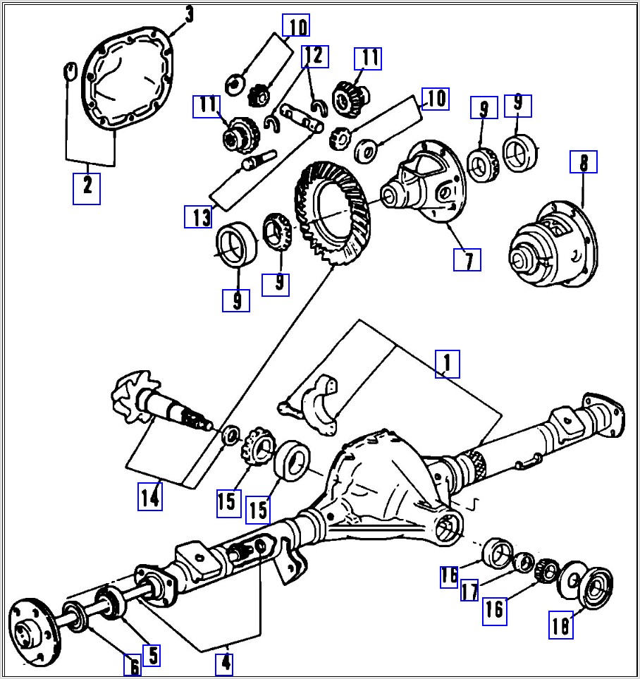 Ford Ranger Drive Shaft Diagram