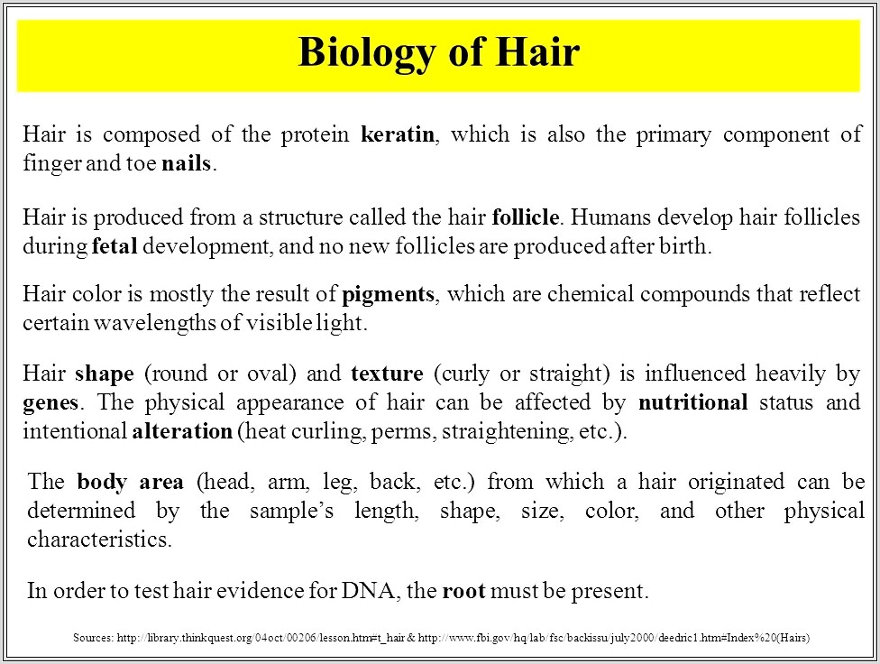 Forensic Science Hair Worksheet