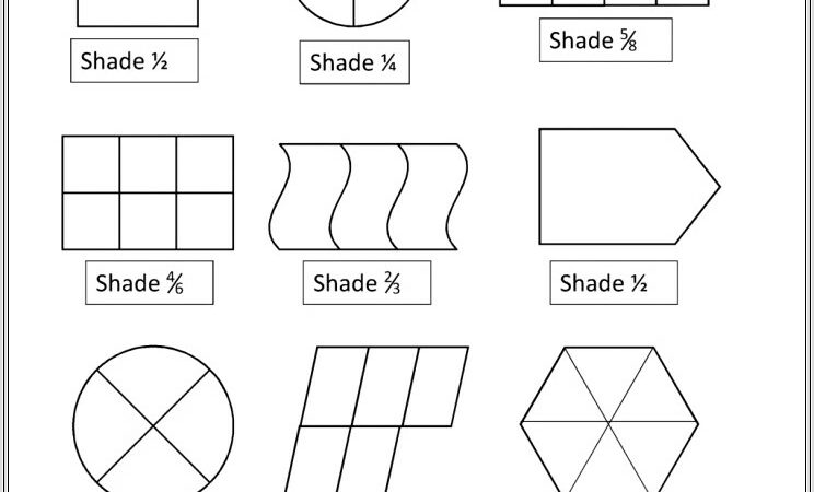 Fractions Worksheet Year 2 Tes