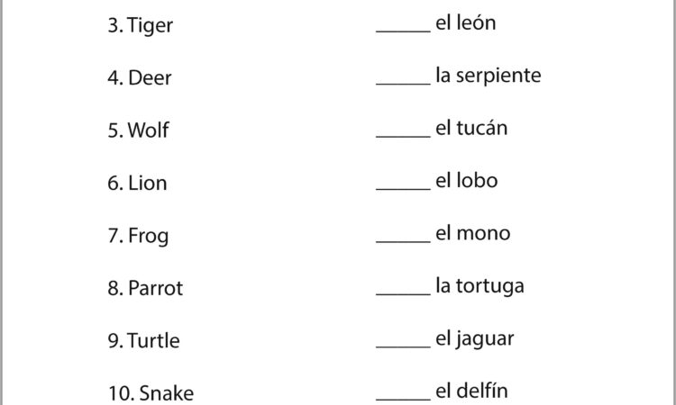 Free Spanish Number Practice Worksheet