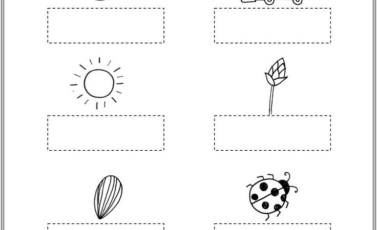 Free Worksheet For Preschool