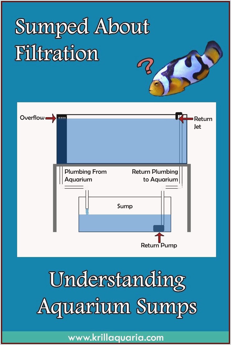 Freshwater Aquarium Sump Diagram