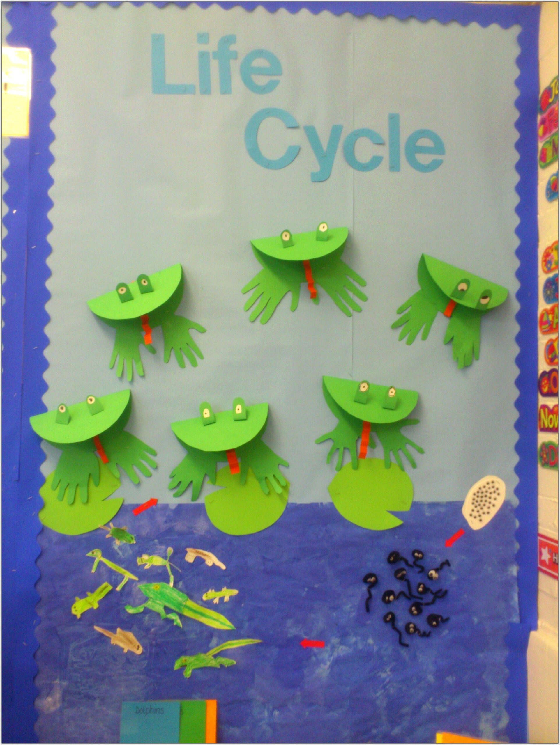 Frog Life Cycle Worksheet Early Years