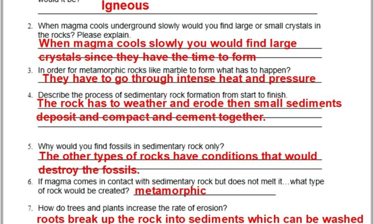 Geologic Time Worksheet Berkeley