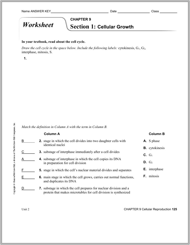 Glencoe Science Biology Worksheet Answers
