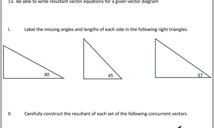 Grade 11 Vectors Worksheet