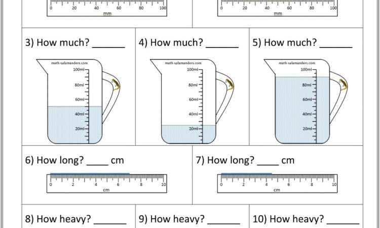 Grade 3 Worksheet Division