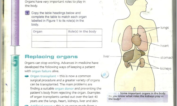 Grade 7 Science Worksheets