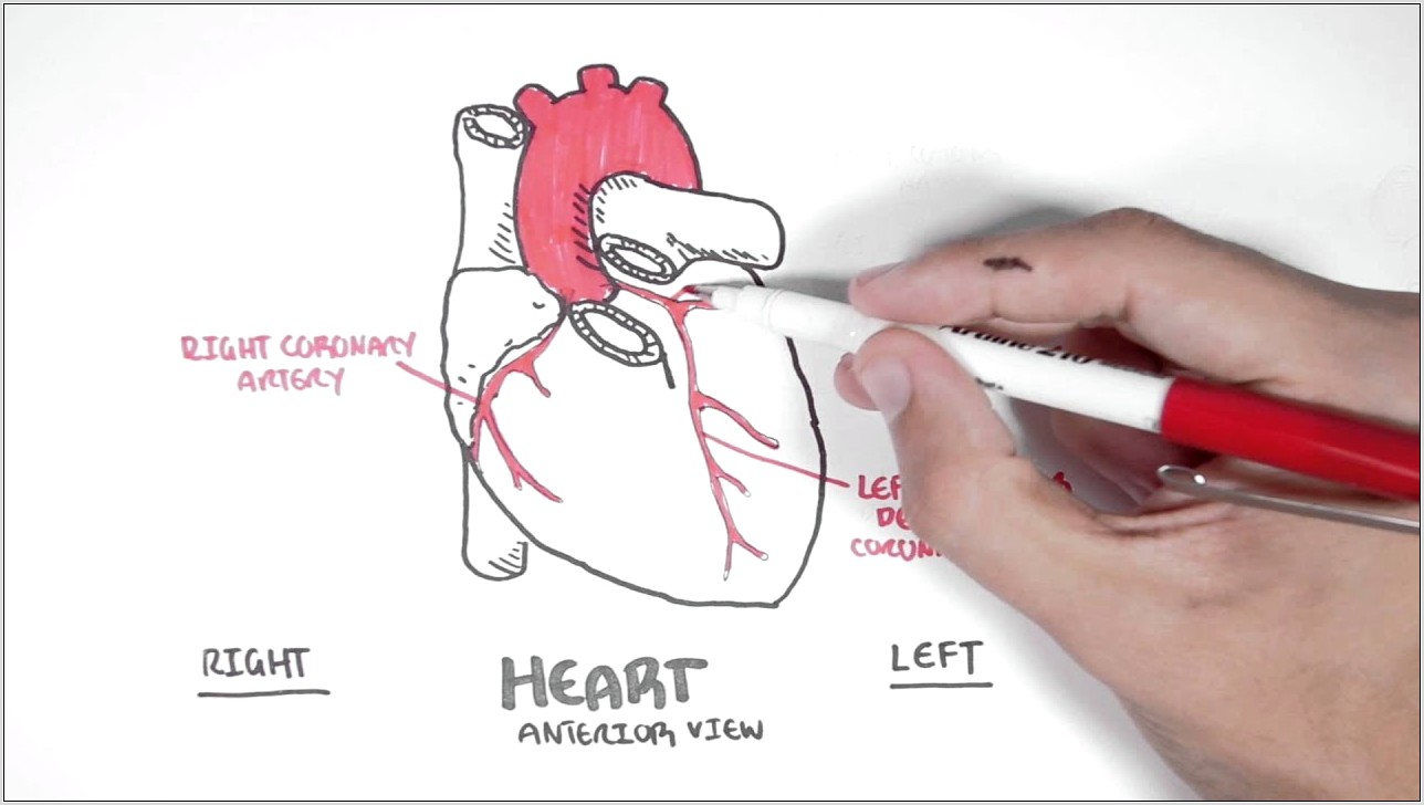 Heart Diagram Simple Coronary Arteries
