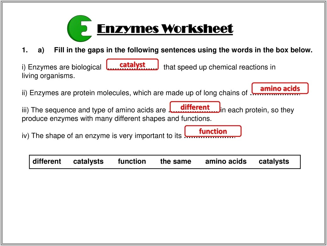 High School Enzyme Worksheet