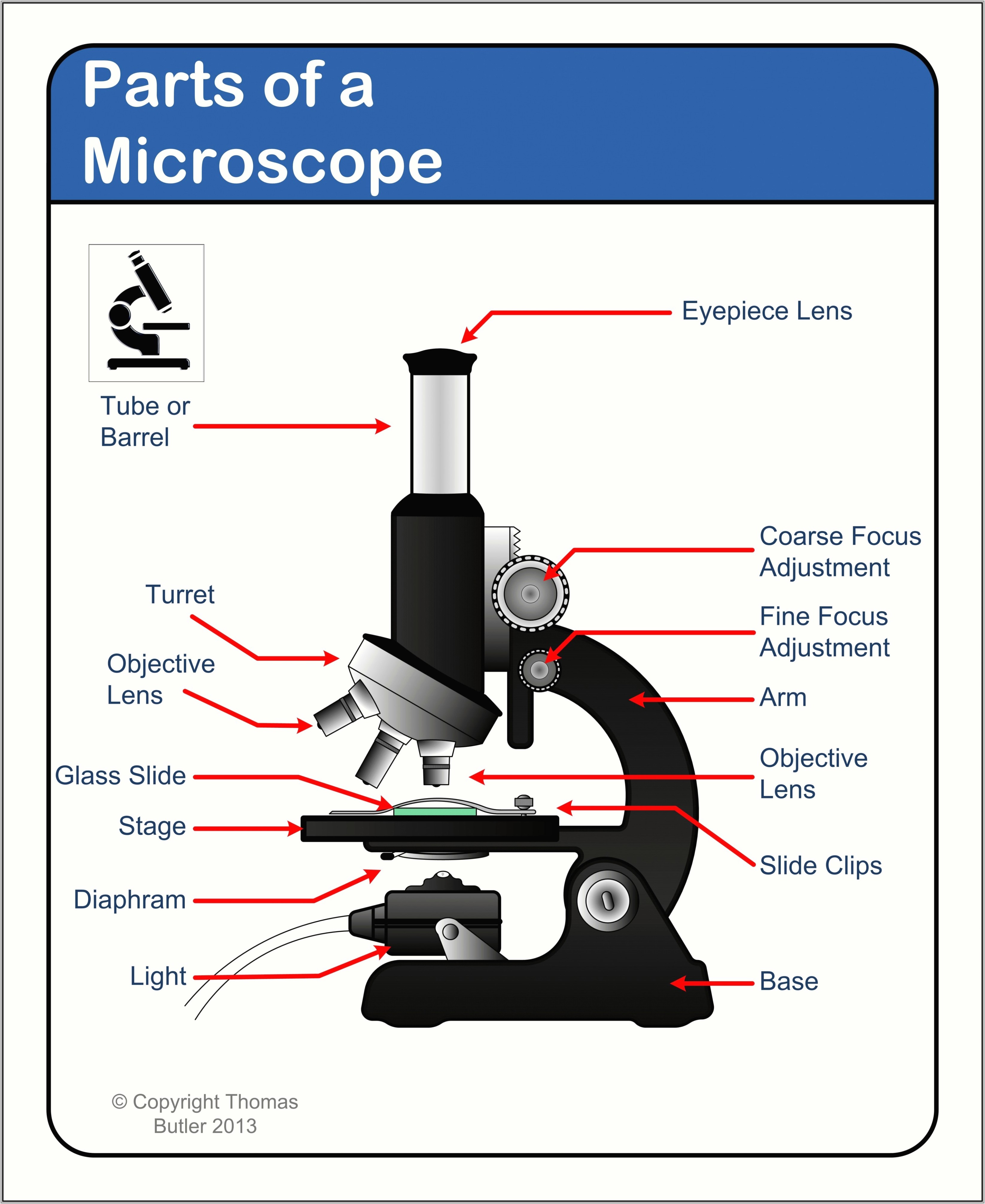 High School Microscope Worksheet