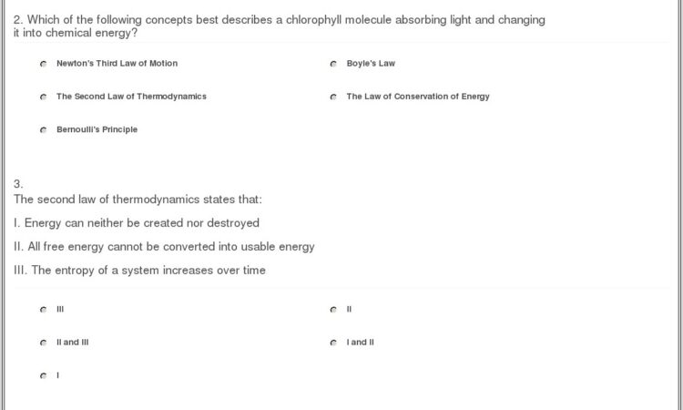 High School Thermodynamics Worksheet