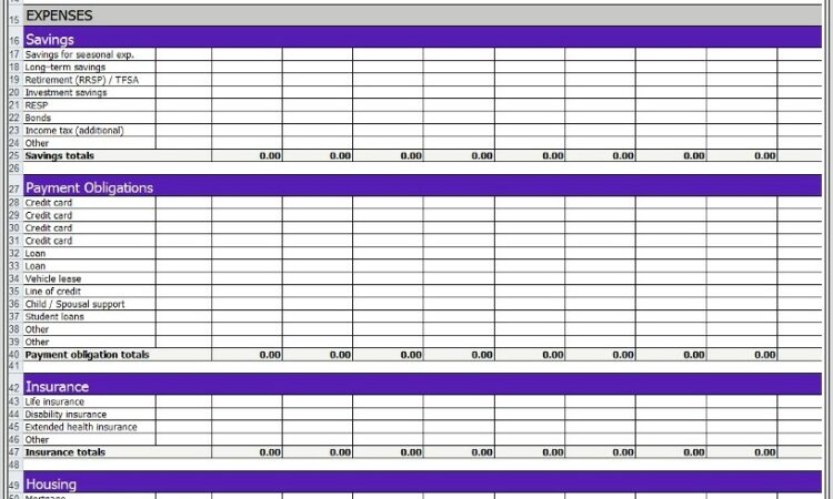 Household Budget Management Spreadsheet 10 Download