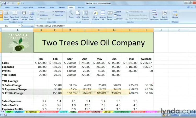 How To Organize Worksheets In Excel