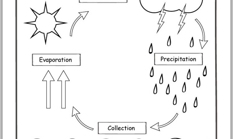 Hydrologic Cycle Worksheet Answer Key