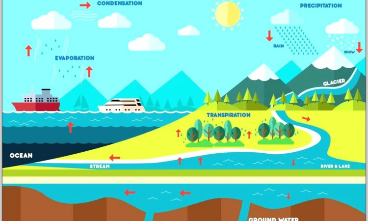 Hydrologic Cycle Worksheet Middle School