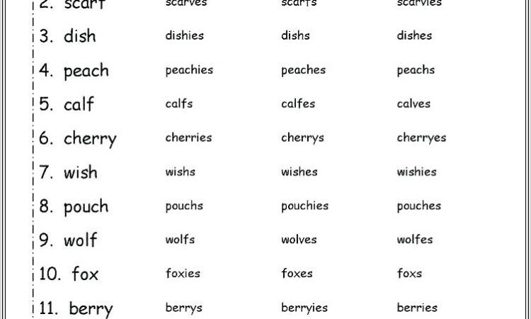 Irregular Plural Nouns 3rd Grade Worksheet