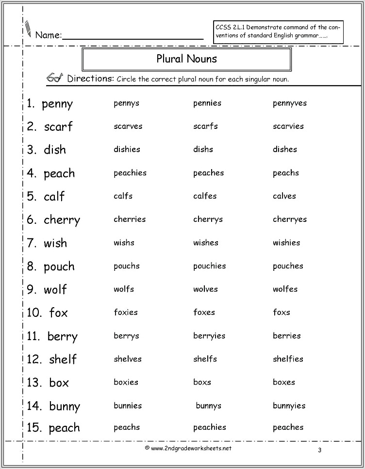 Irregular Plural Nouns 3rd Grade Worksheet