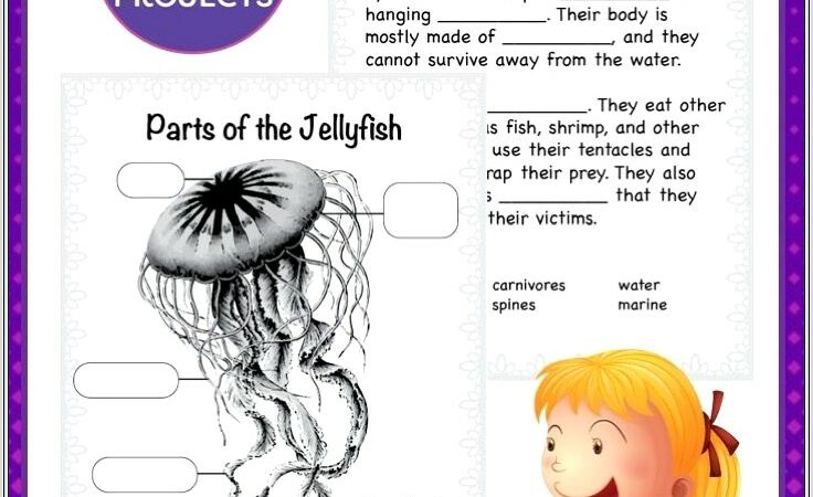 Jellyfish Worksheet 3rd Grade