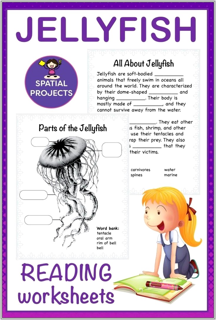 Jellyfish Worksheet 3rd Grade