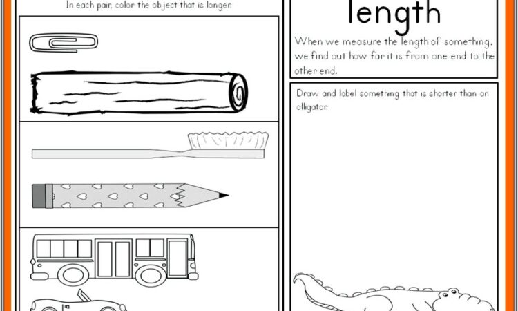 Kids Maths Worksheet Weight Length