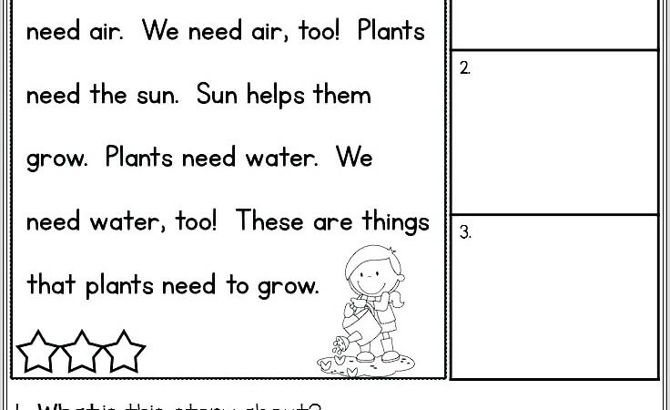 Kindergarten Worksheets About Plants