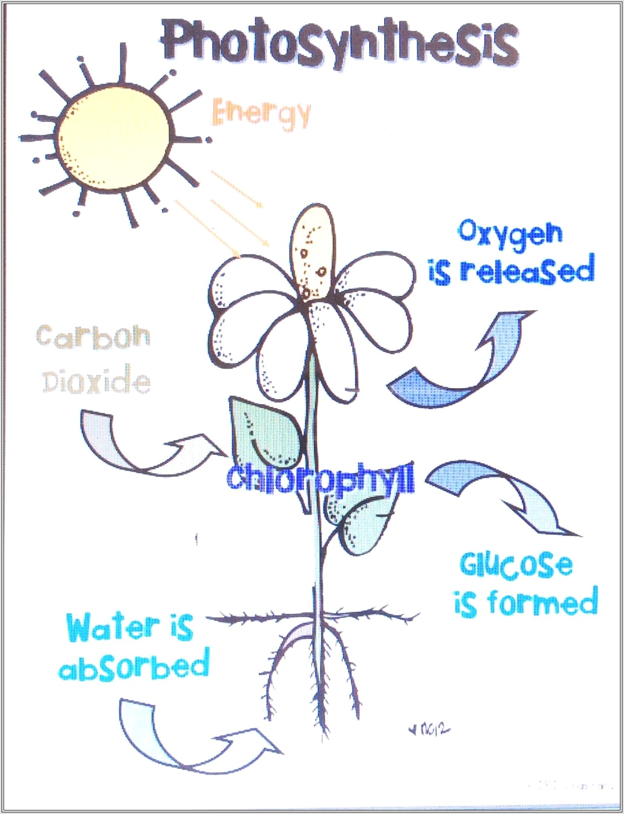 Kindergarten Worksheets On Plants