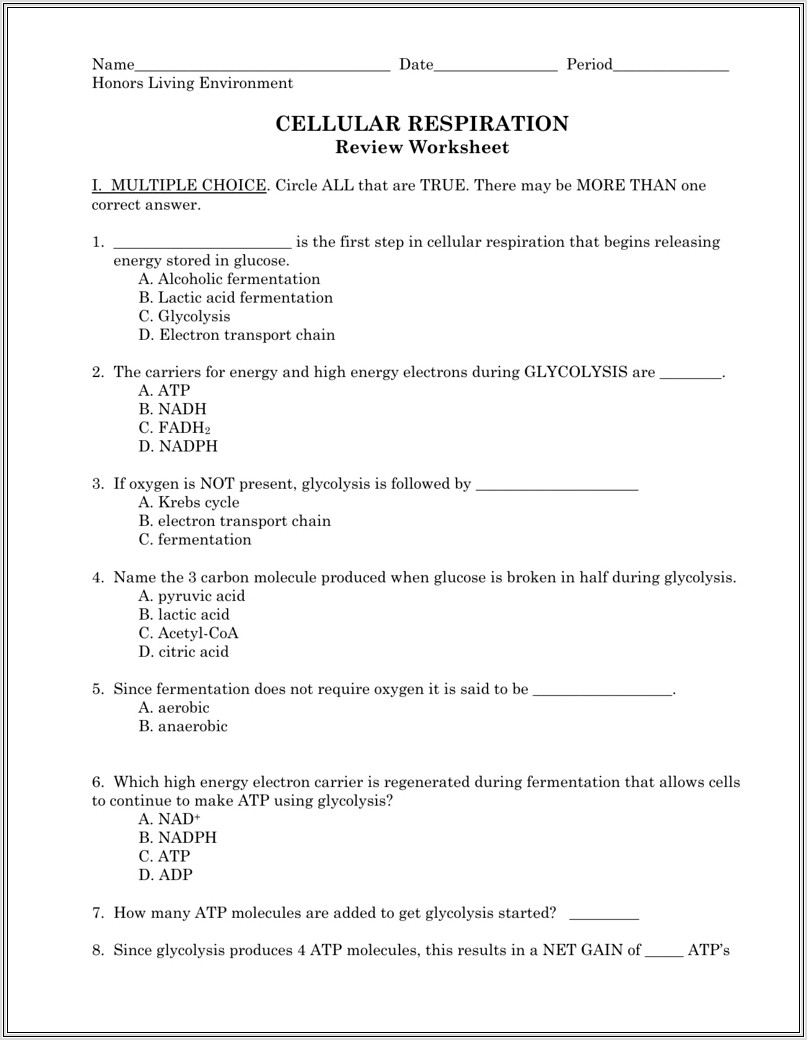 Krebs Cycle Worksheet With Answers