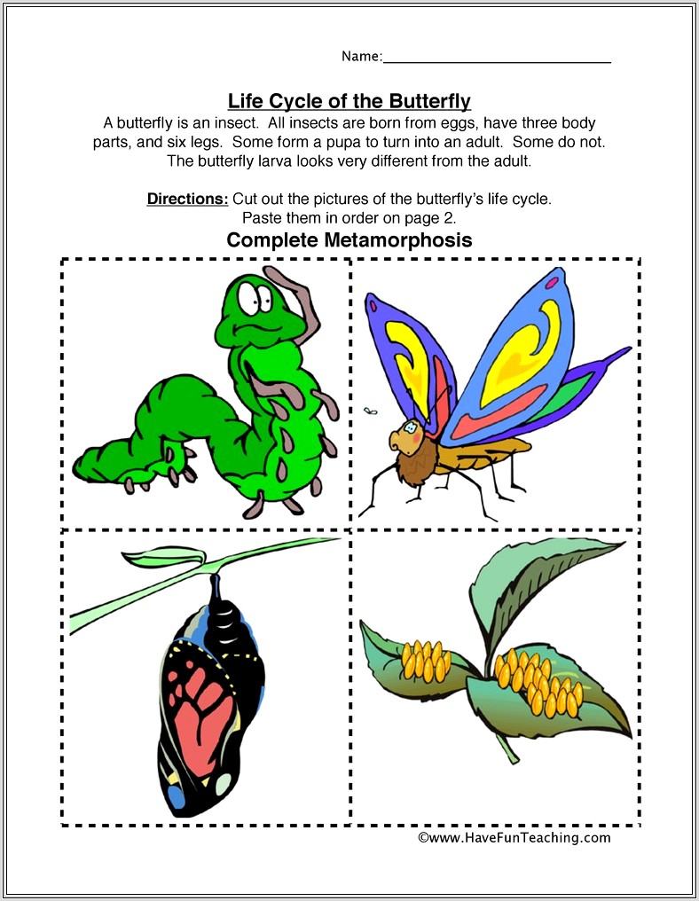 preschool-worksheet-butterfly-life-cycle-worksheet-restiumani