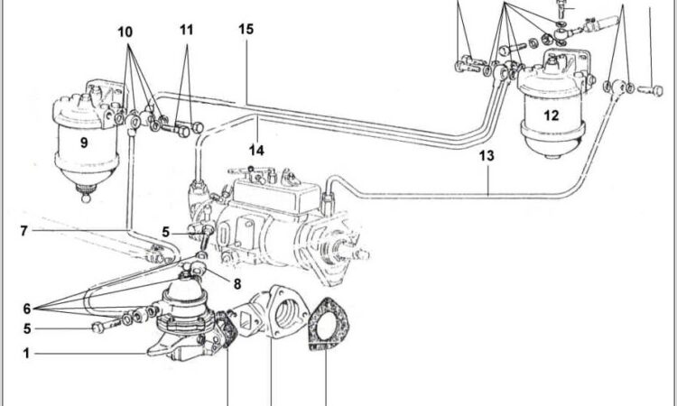 Long Tractor Injector Pump Diagram