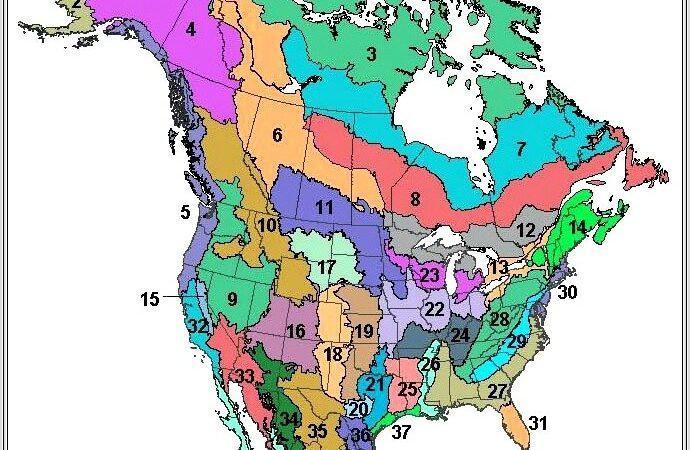 Map Worksheet Grade 5