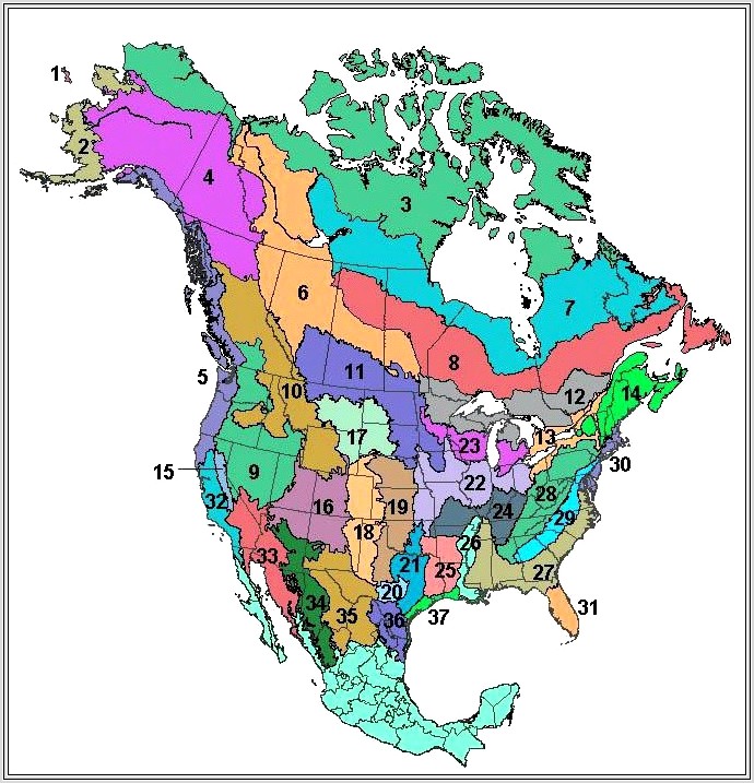 Map Worksheet Grade 5