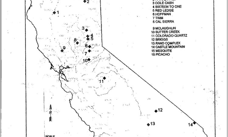 Maps And Cardinal Directions Worksheet