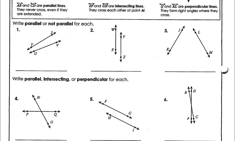 Math Worksheet And Answers