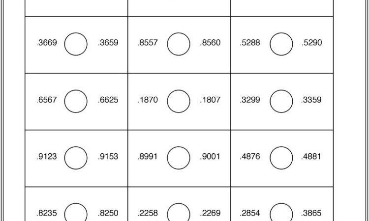 Math Worksheet Common Core