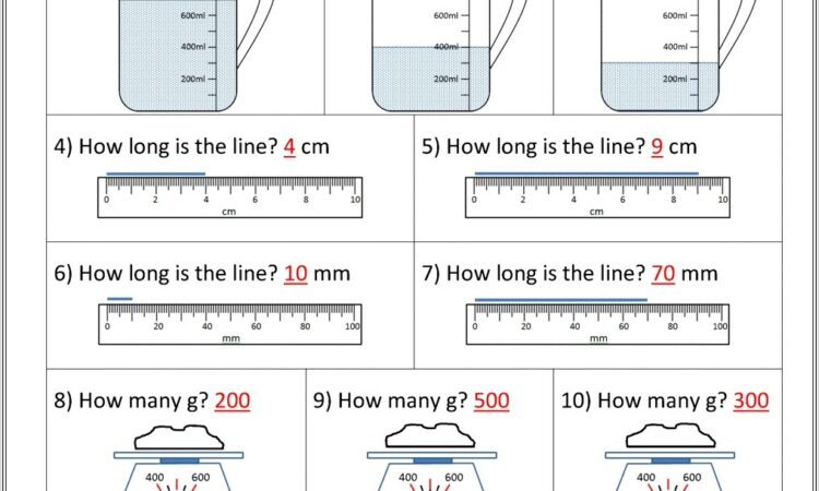 Math Worksheets 5th Grade Measurement