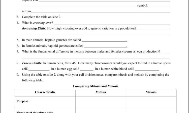 Meiosis Reading Worksheet Integrated Science 2