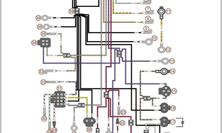 Mercury Outboard Power Trim Wiring Diagram