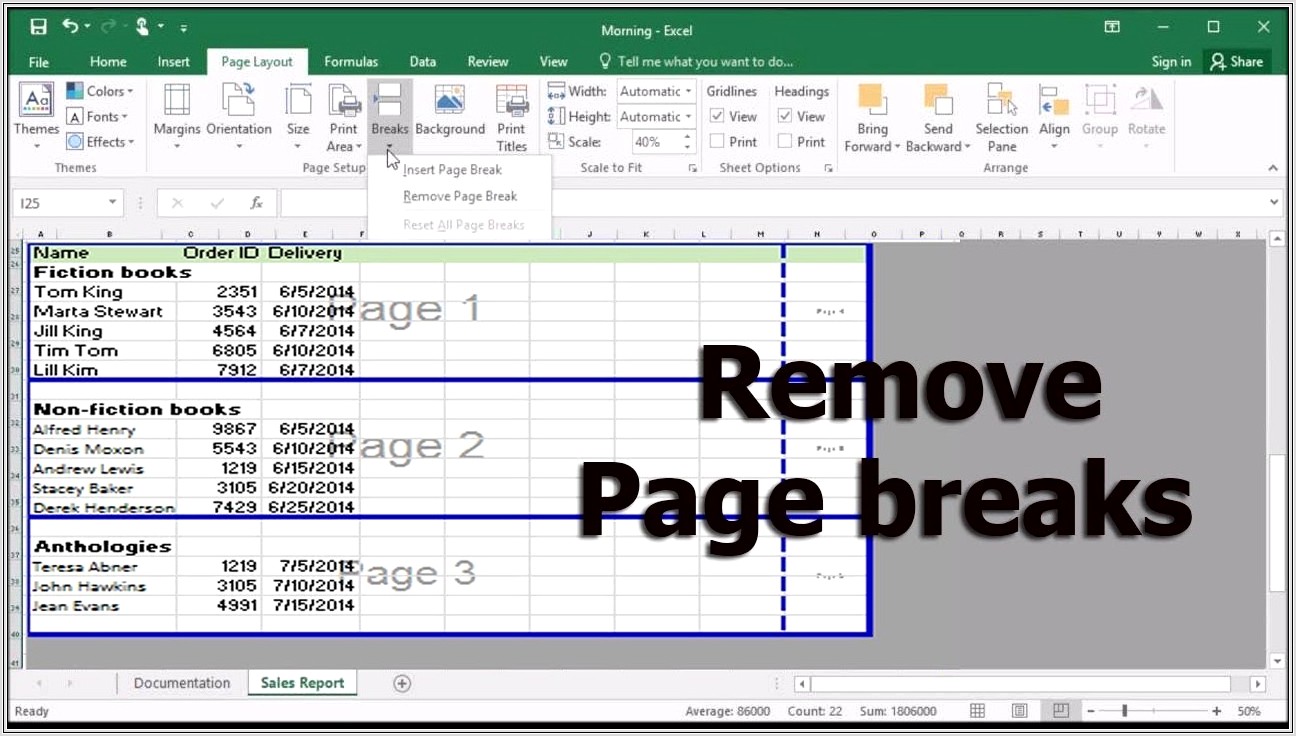 Microsoft Excel 2007 Hide Page Break Lines