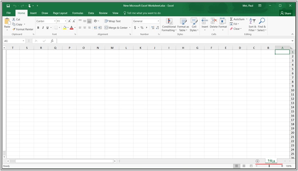 Microsoft Excel Worksheet Not Showing