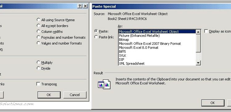 Microsoft Excel Worksheet Object Paste Special