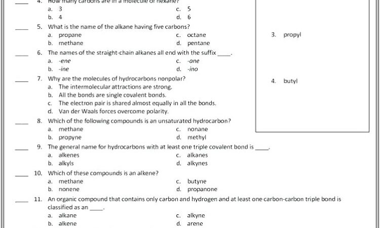 Middle School Appositive Worksheet