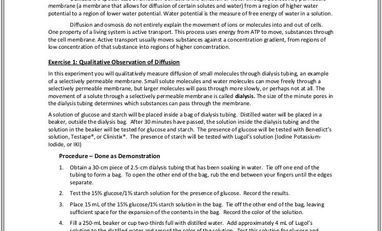 Middle School Diffusion Worksheet